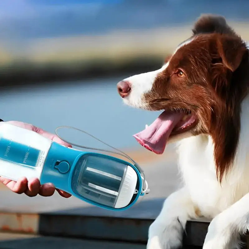 3-in-1 Portable Dog Water Bottle – Food Container & Waste Bag Holder
